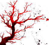 cb0efdb51.png
