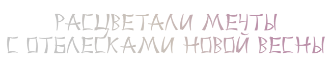 image (68).png
