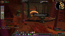 WoWScrnShot_012825_201734.jpg