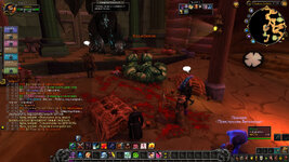 WoWScrnShot_012825_211824.jpg
