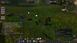 WoWScrnShot_012825_214540.jpg