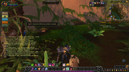 WoWScrnShot_071325_182339.jpg
