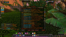 WoWScrnShot_071325_191022.jpg