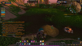 WoWScrnShot_071325_191419.jpg