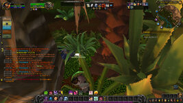 WoWScrnShot_071325_193248.jpg