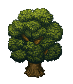 anim_tree.gif