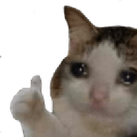 Musolin
