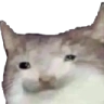 Manulfessi