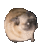 klew